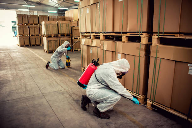 Best Pest Prevention Services  in Lake Wildwood, CA