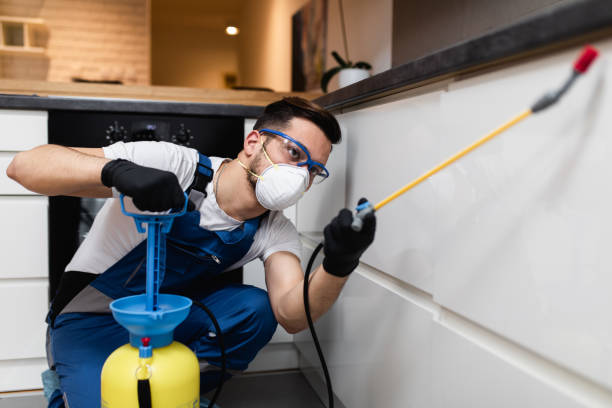 Best Pest Removal Services  in Lake Wildwood, CA