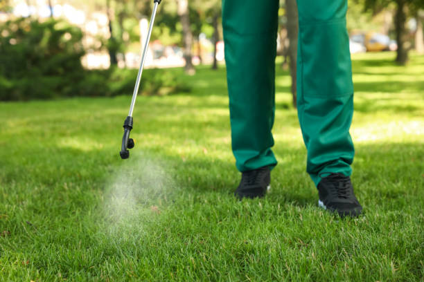 Best Local Pest Control Services  in Lake Wildwood, CA