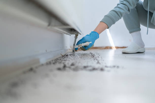 Best Emergency Pest Control  in Lake Wildwood, CA